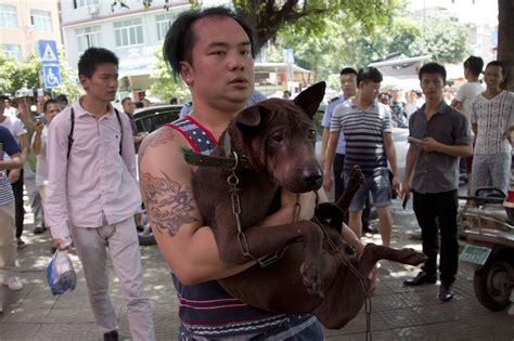 The Controversial Chinese Dog Eating Festival: A Deep Dive into the Cultural and Moral Debate